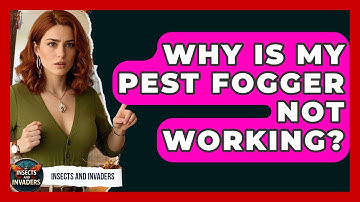 Why Is My Pest Fogger Not Working? - Insects and Invaders