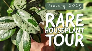 Rare Houseplant Tour 2023 | aroids, hoyas, succulents \& more!