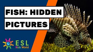 🐟Fish Hidden Pictures Game | Find Fish for Kids Education screenshot 5