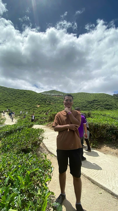 Memory trips #malaysia Cameron Valley Tea 🍵🇲🇾