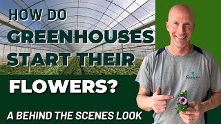 How Greenhouses Start Their Flowers  Go Behind The Scenes of a Commercial Greenhouse