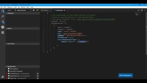 VueJs Application Debug In Visual Studio Code