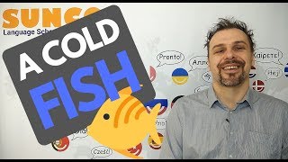 idioms 101 -  a cold fish