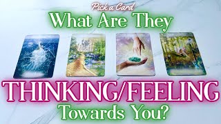 What Are They Thinking/Feeling Towards You? 🤍 {PICK A CARD} 🪽 Timeless Tarot Reading