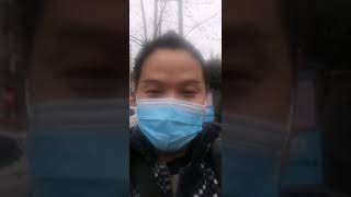 マスク PM2.5対応 不織布マスク ３層構造 ウイルス対策 花粉99％カット 飛沫防止 防護マスク 50枚入