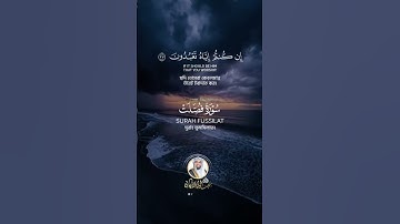 تلاوة من سورة فصلت