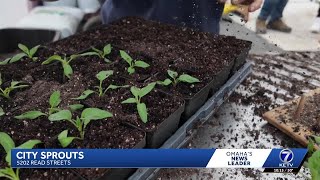 'Waiting for the weather conditions': Freeze warning delays planting at Omaha urban farm