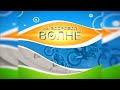 На здоровой волне 15.07.22