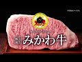 【今回の販売は終了しました】愛知が育てたブランド牛「みかわ牛」