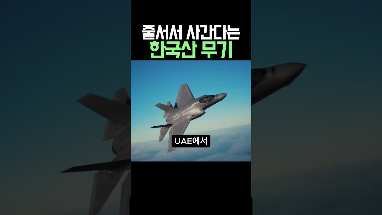 줄서서 사간다는 한국산 무기