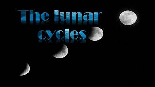 The Lunar Cycles