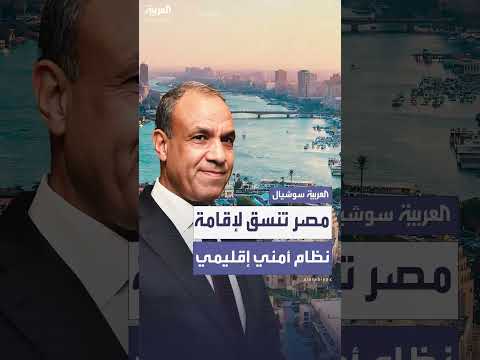 وزير الخارجية المصري: تنسيق عربي لنظام أمني إقليمي