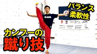 究極の体幹を手に入れろ！！【カンフーの蹴り技】