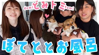 女子メンバーがトミーさんのご自宅に突撃！？愛犬ぽてと一緒にお風呂入ってみた♡【どみちゃん × トミーさん】