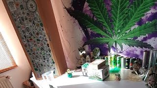 Es ist Sontag Morgen. Bißchen eure Fragen beantworten. #weed #cannabis #cannabiskunst #420