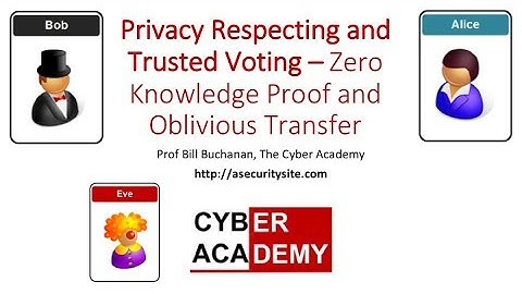 Privacy Preserving and Trusted Voting with ZKP and ECC