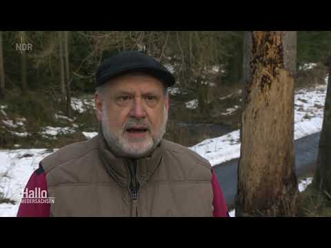 Video: Überfüllt Blühendes Harz