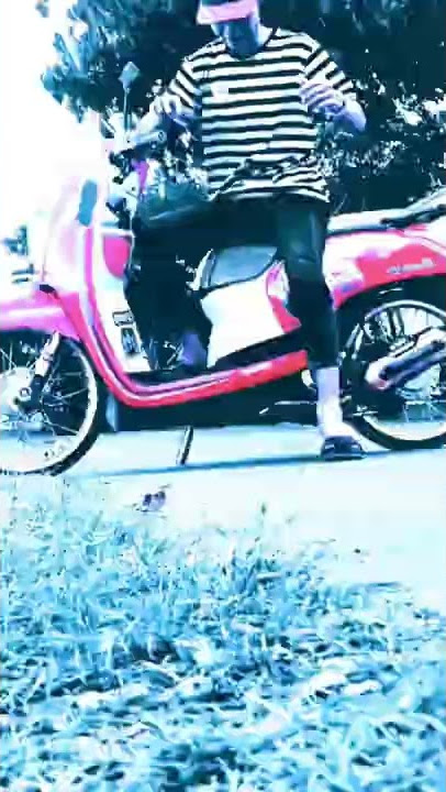 story' wa 30 detik#shorts/story' wa scoopy