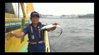 【釣り百景】#257 人気沖釣りターゲット　東京湾のテンビン仕掛けで狙うタチウオ