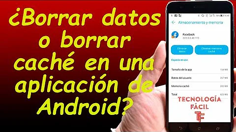 ¿Cuáles son los datos almacenados en caché?