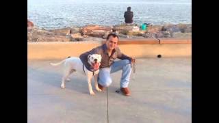 Güzel Insan Mehmet Çi̇ftçi̇