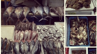 Wholesale Fish Market, Doha, Qatar