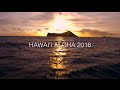Hawaii aloha  song across hawaii  playing for change collaboration 4k version