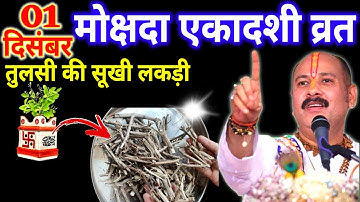 01 दिसंबर सोमवार मोक्षदा एकादशी व्रत को तुलसी की सुखी लकड़ी वाला उपाय जरुर करे || Pradeep Ji Mishra