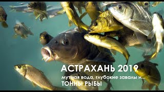 Подводная охота на астраханских протоках 2019