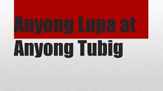 Anyong Lupa at anyong Tubig | Quiz | Grade 3