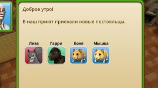 Pet World приют,игра screenshot 5