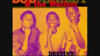 Wailing Wailers - Where Is My Mother (Band Version)