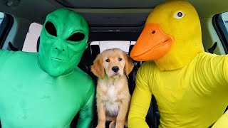 Alien SAVES Puppy From Rubber Ducky! LOCKED UP