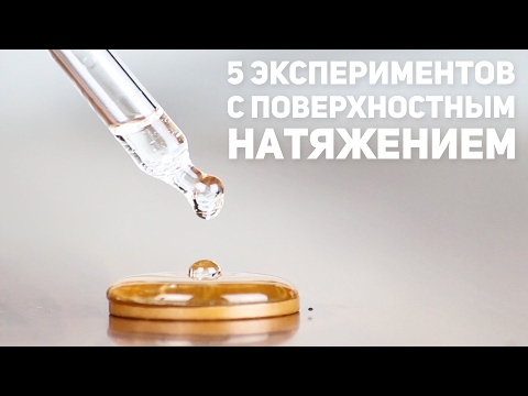 5 экспериментов с поверхностным натяжением