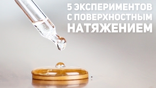 5 экспериментов с поверхностным натяжением