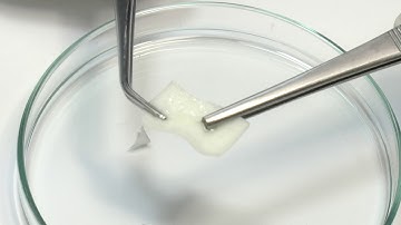 Handling of mucoderm®