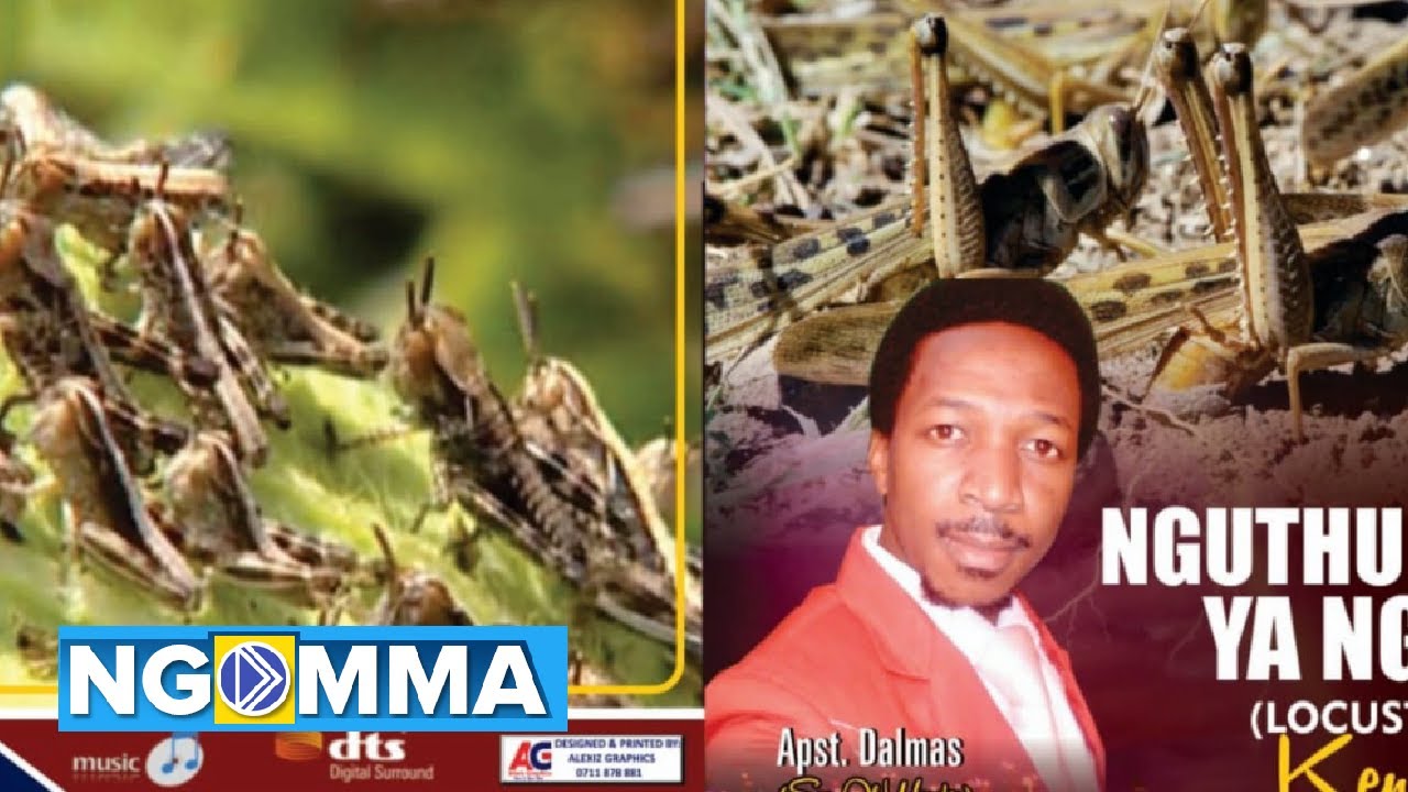Mbua Nene ya NGIE Kenya Apst Dalmas Mwangangi OFFICIAL RYLICS VIDEO