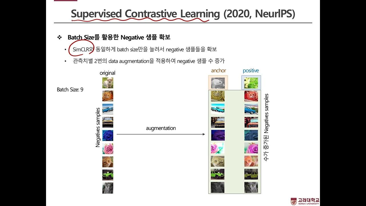 [핵심 머신러닝] Self-supervised Learning - Part 3 (False Negatives ...