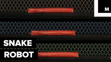 Snakelike Artificial Skin Allows This Robot to Slither Around on Its Own