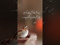 سعدی سعدی شیرازی غزل شعر ادبیات سعدی سعدی شیرازی غزل شعر ادبیات