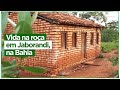 A vida na roça em Jaborandi, no Oeste da Bahia.