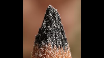 Macro Lens  ( the tip of a pencil)