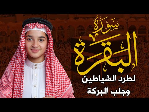 سورة البقرة كاملة جديد و حصري القارئ عبد الله شعبان      