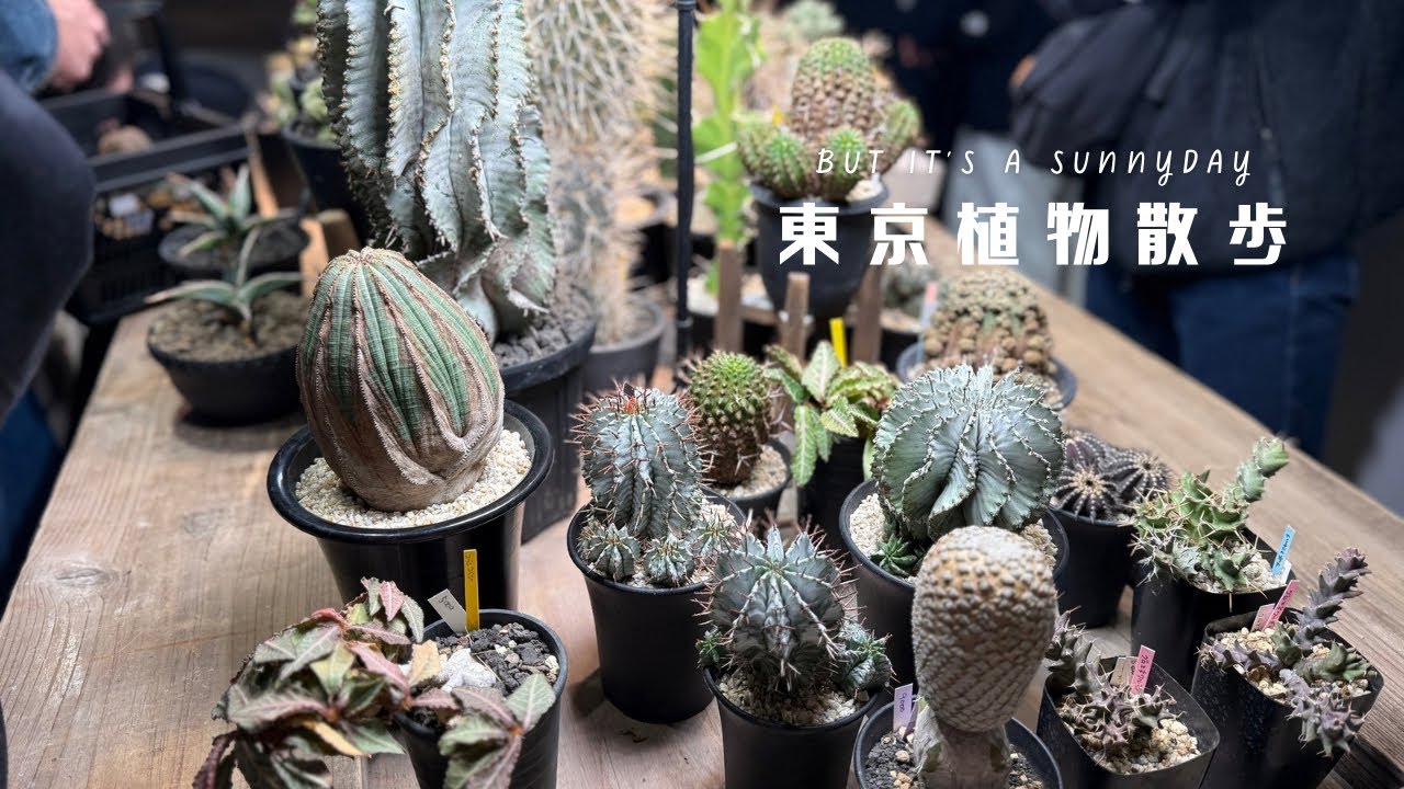 A new standard for finding rare plants in Tokyo! We went to