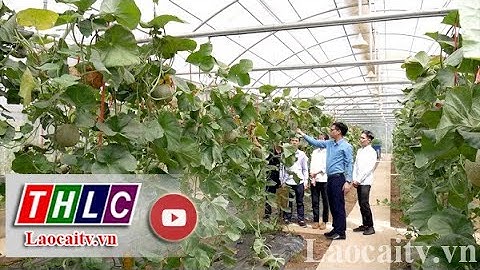 Điểm sáng trong hoạt động nghiên cứu, ứng dụng khoa học kỹ thuật | THLC