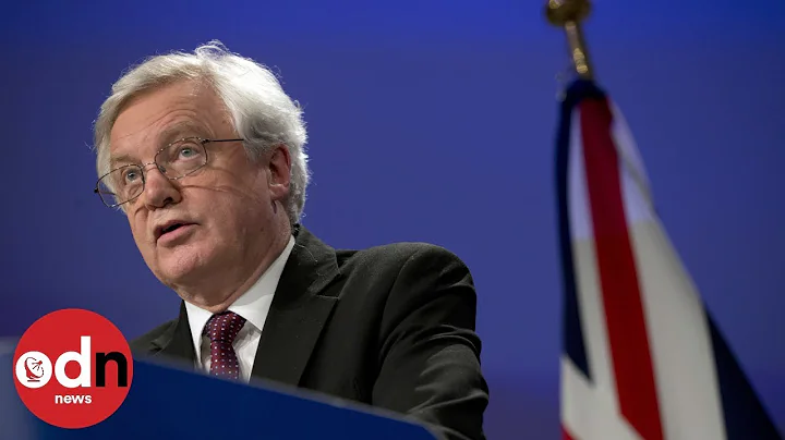 David Davis: PM should go back to EU with 'Super Canada' proposal
