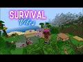 The Tour of our Survival Vibes World