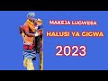 MAKEJA LUGWESA HALUSI YA GIGWA 0673699341