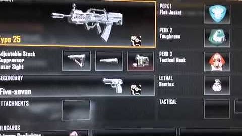 Type 25 class setup for black ops 2