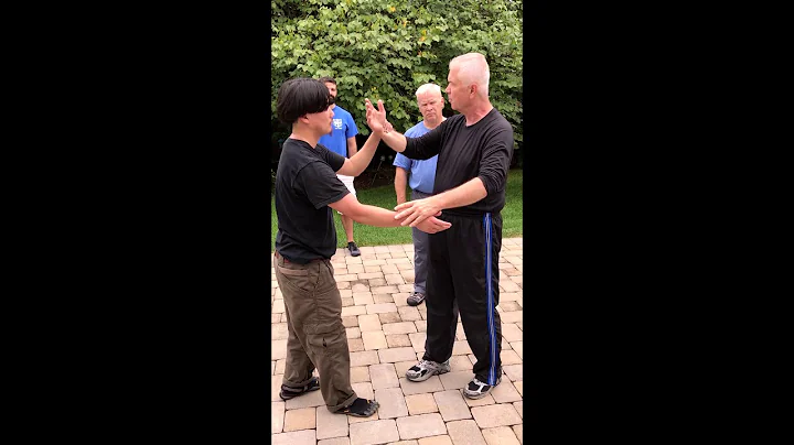 Baguazhang Applications Training Paul Cote & Troy ...